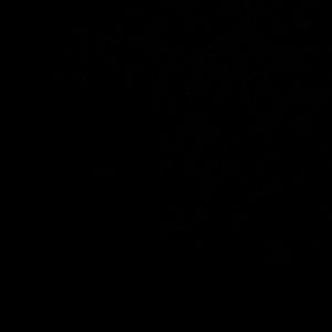 Meet your Posher, Lee